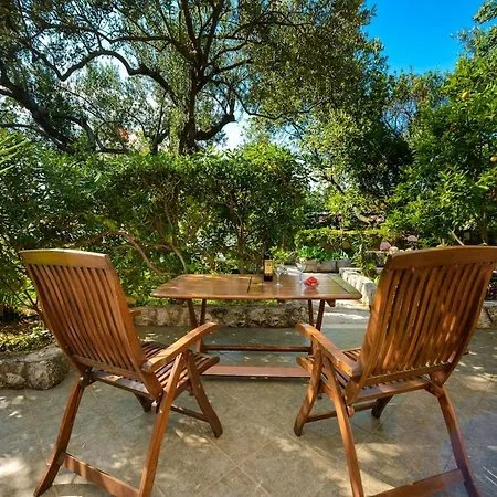 Center - With Private Terrace 1 Apartment